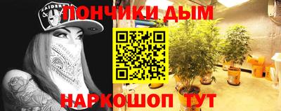 стафф Вязьма