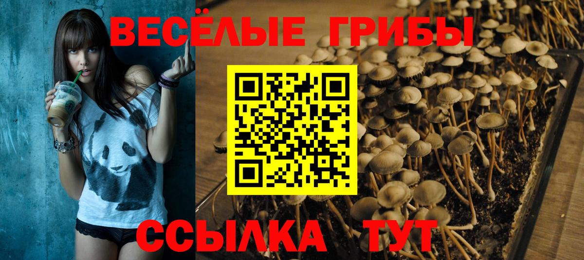 Галлюциногенные грибы GOLDEN TEACHER Новоалександровск